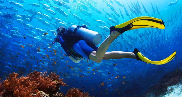 Top PADI dive centre in Havelock Island