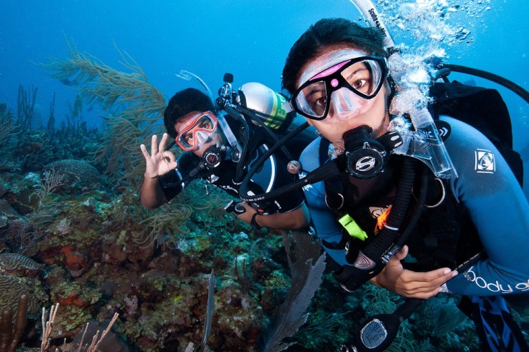 Scuba Diving Packages