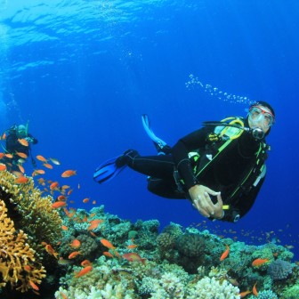 Scuba Certification: Everything You Need to Know