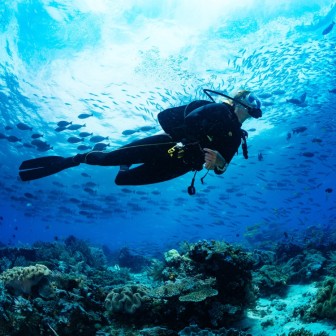 Top 10 Dive Sites in Havelock Island