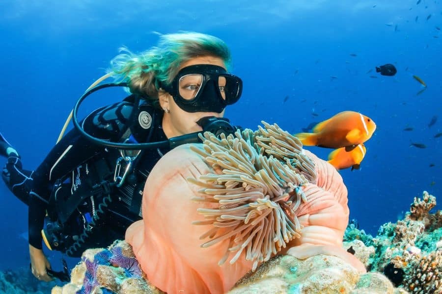 PADI Underwater Naturalist Course in Andaman Islands