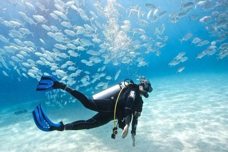 Shore Dive (Discover Scuba Dive, PADI Program) in Havelock Island