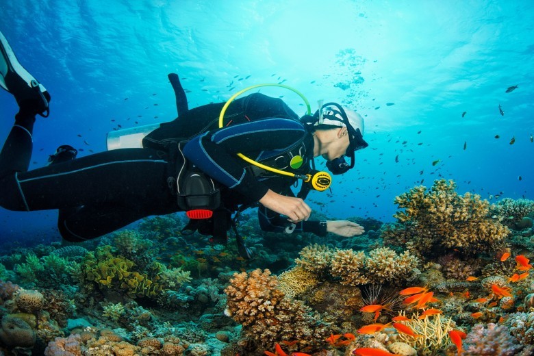 2 Dives Scuba Diving Packages in Havelock Island