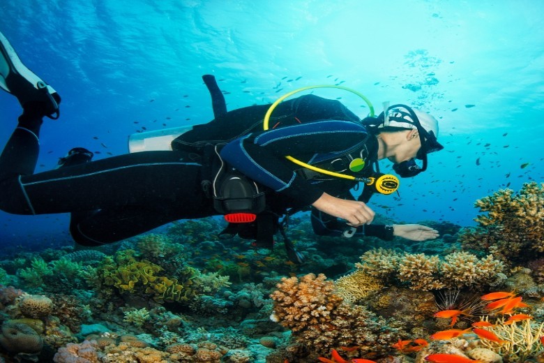 Drift Dive Specialty in Havelock Island