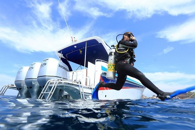 Boat Dive (DSD - Discover Scuba Dive, PADI Program)