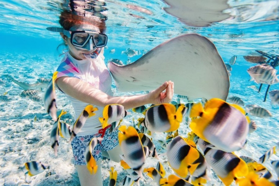 Snorkelling At North Bay Island (Port Blair) At Shore