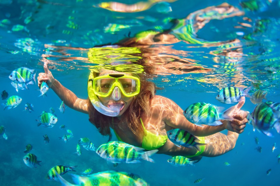 Snorkelling At Havelock Island By Boat