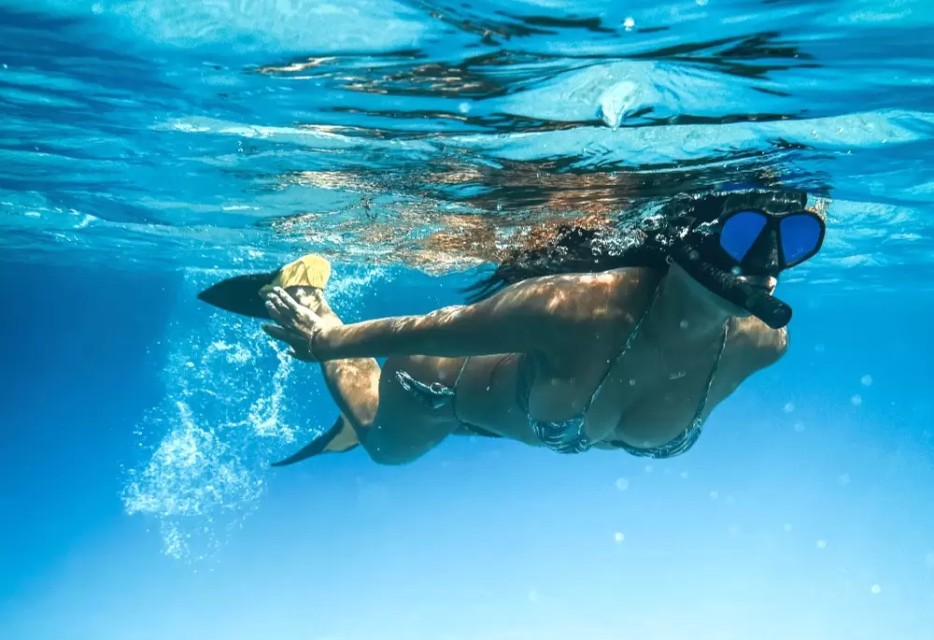 Snorkelling At Neil Island By Boat