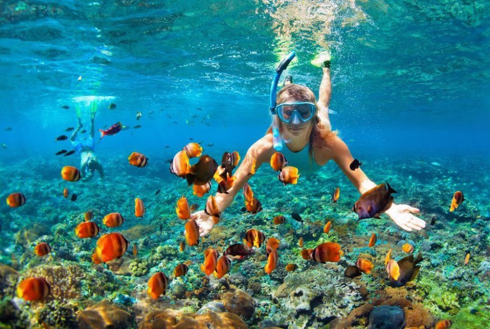 Snorkelling At Neil Island By Boat