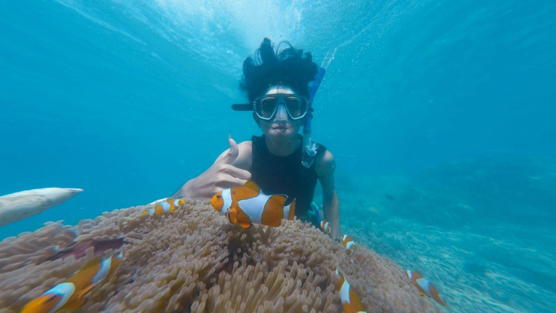 Deep sea Snorkelling at Elephant Beach