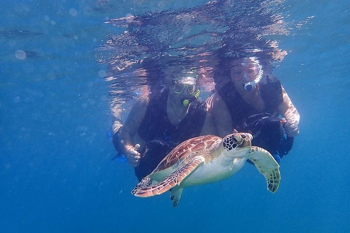 Charter Boat Trip To Turtle Beach For Snorkelling And Picnic