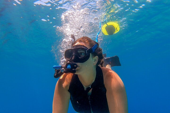 Snorkelling At Nemo Beach At Shore