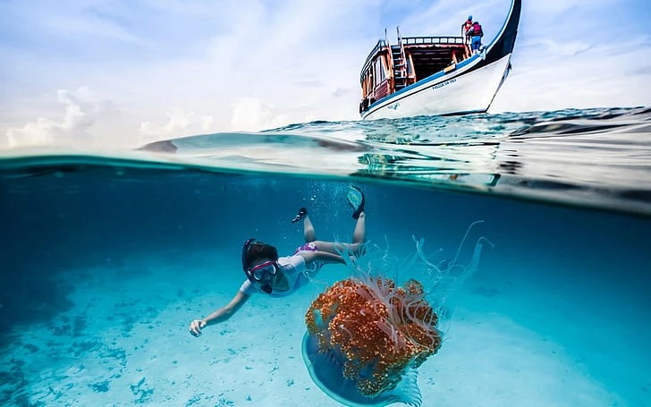 Snorkelling At Tribe Gate By Boat