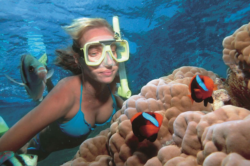 Snorkelling At Tribe Gate By Boat