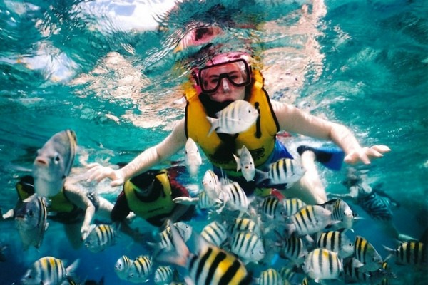 Guided Snorkelling from Boat in Port Blair