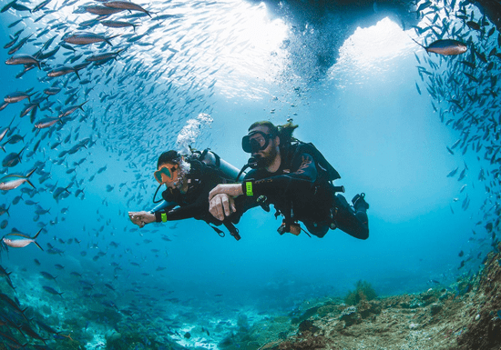 PADI Dive Master Course in Havelock Island