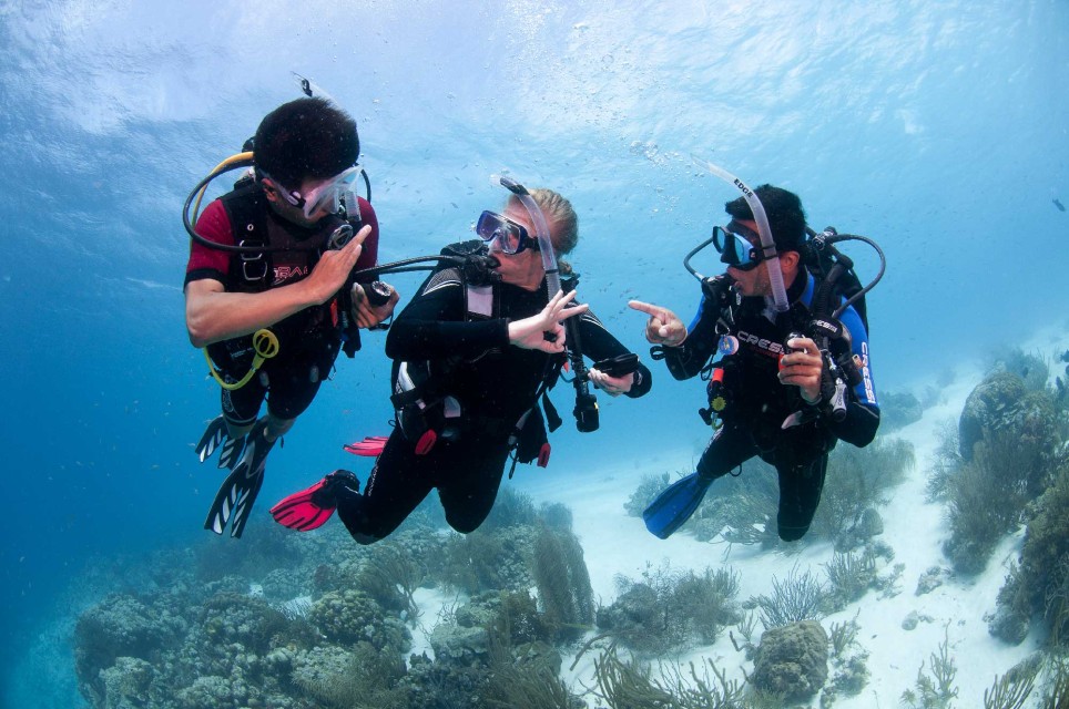 PADI Dive Master Course in Havelock Island