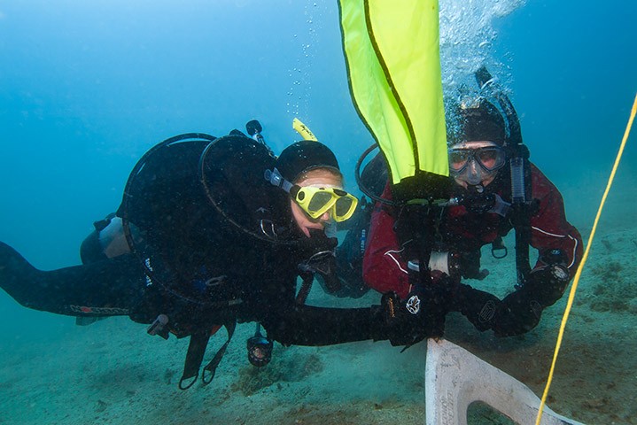 PADI Dive Master Course in Havelock Island