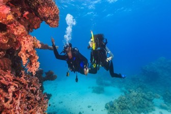 PADI Night Diver Specialty Course in Havelock Island