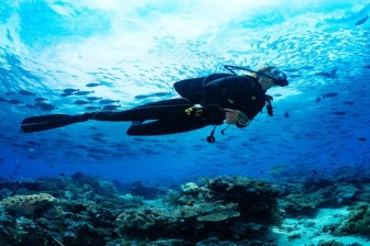 2 Dives Scuba Diving Packages in Havelock Island