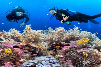 Drift Dive Specialty in Havelock Island