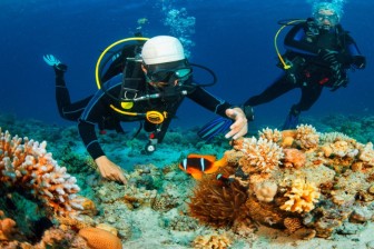 Drift Dive Specialty in Havelock Island