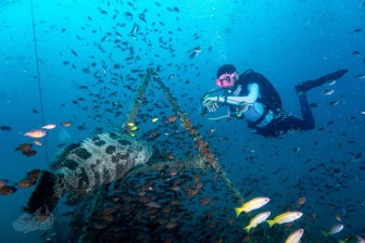 PADI Peak Performance Buoyancy Specialty Course in Havelock Island