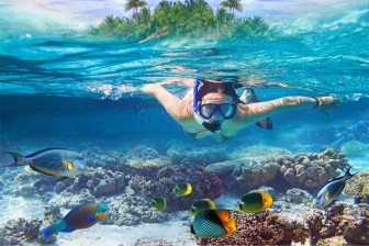 Snorkelling At North Bay Island (Port Blair) At Shore