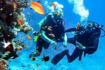 Snorkelling At North Bay Island (Port Blair) At Shore