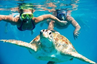 Charter Boat Trip To Turtle Beach For Snorkelling And Picnic