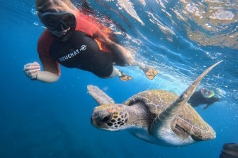 Charter Boat Trip To Turtle Beach For Snorkelling And Picnic