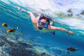 Snorkelling At Nemo Beach At Shore