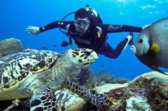 Boat Diving At Turtle Beach (DSD - PADI Program) in Havelock Island