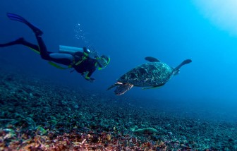 Boat Diving At Turtle Beach (DSD - PADI Program) in Havelock Island