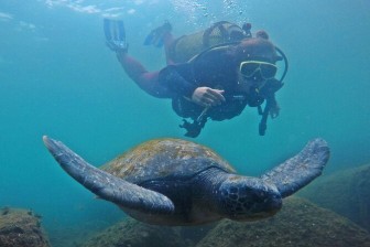 Boat Diving At Turtle Beach (DSD - PADI Program) in Havelock Island