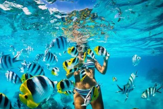 Guided Snorkelling from Boat in Port Blair