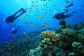 Shore Dive (Try Dive) in Havelock Island