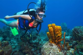 6 Dives Scuba Diving Packages in Havelock Island