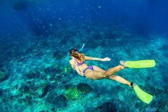 Guided Shore Snorkelling in Havelock Island