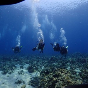 Deep sea Snorkelling at Elephant Beach